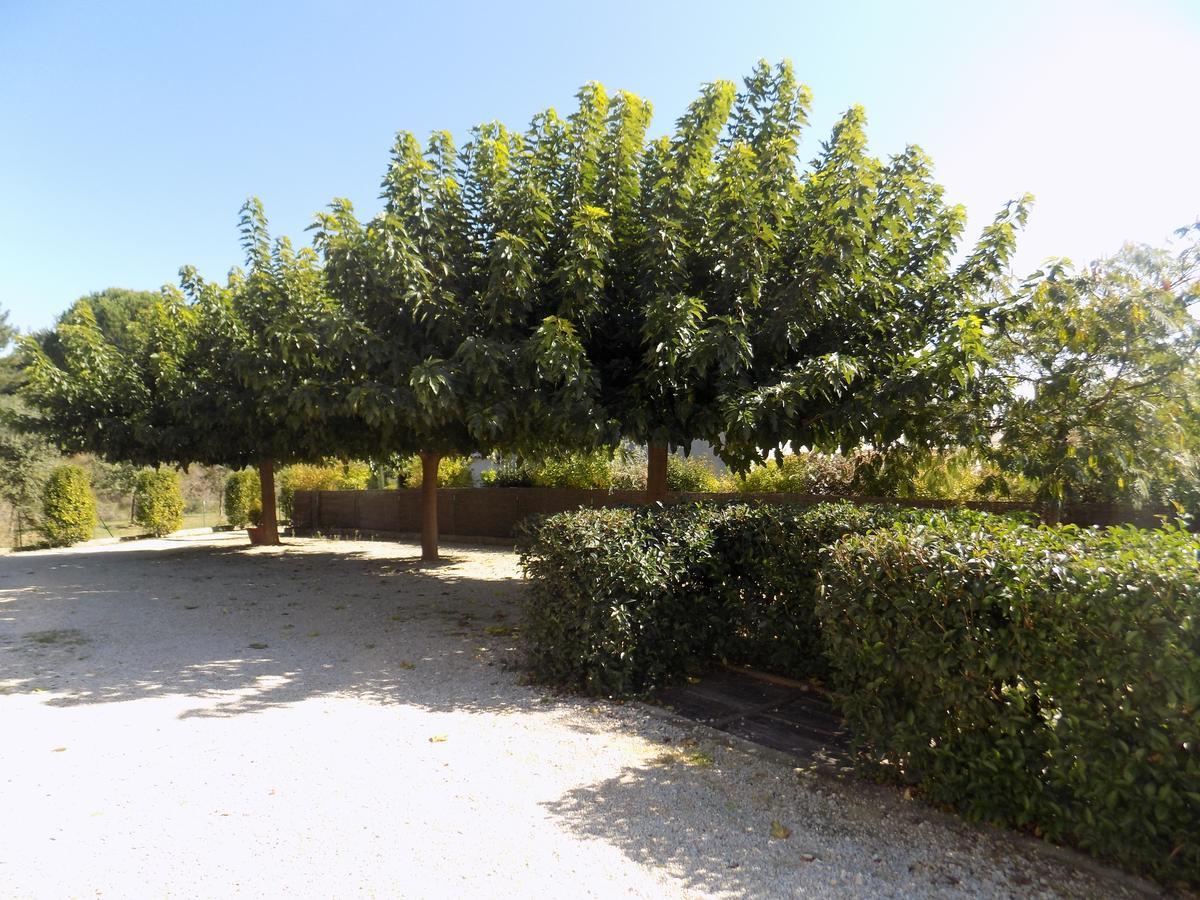 B&B La Vieille Source Saint-Martin-dʼArdèche Eksteriør bilde